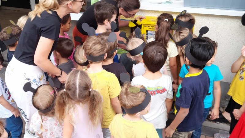 Kinder schauen sich den Bienenfutterautomat an