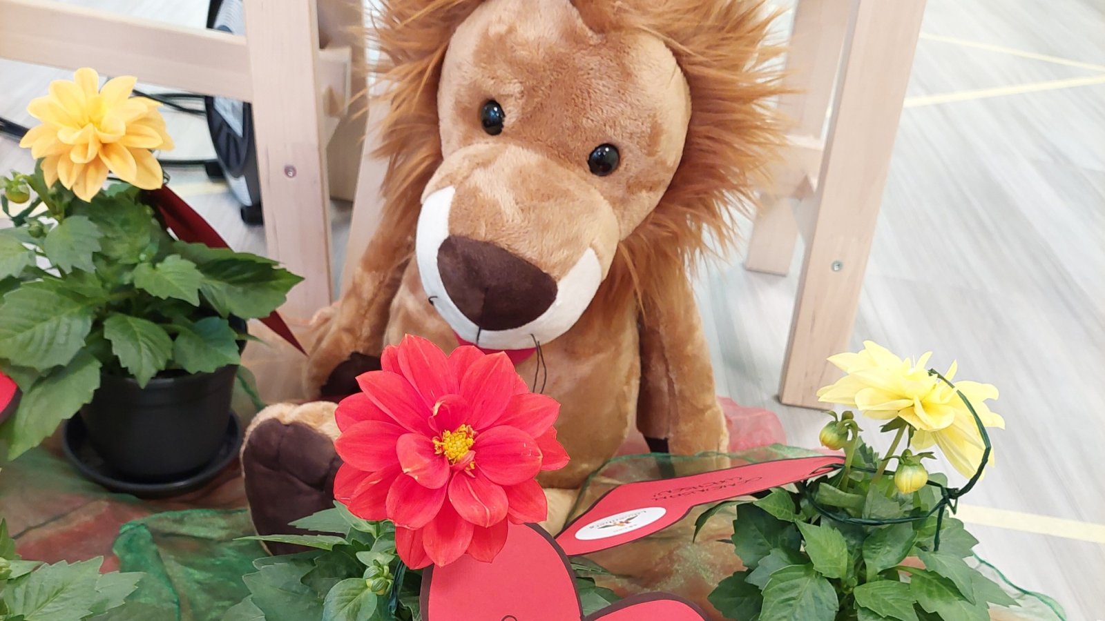 Löwenherz Maskottchen