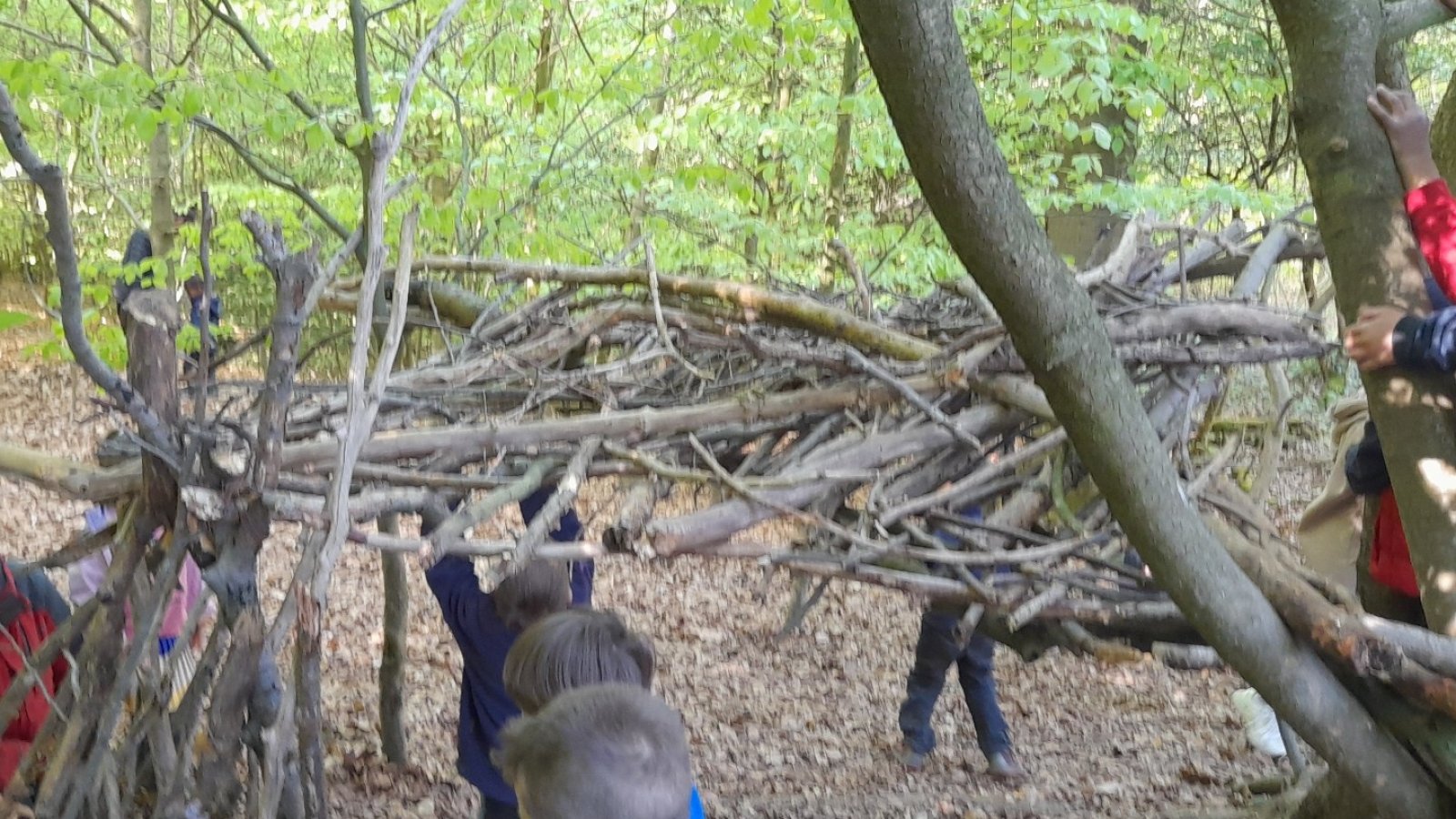 Kinder beim bauen von einem Dach aus Ästen