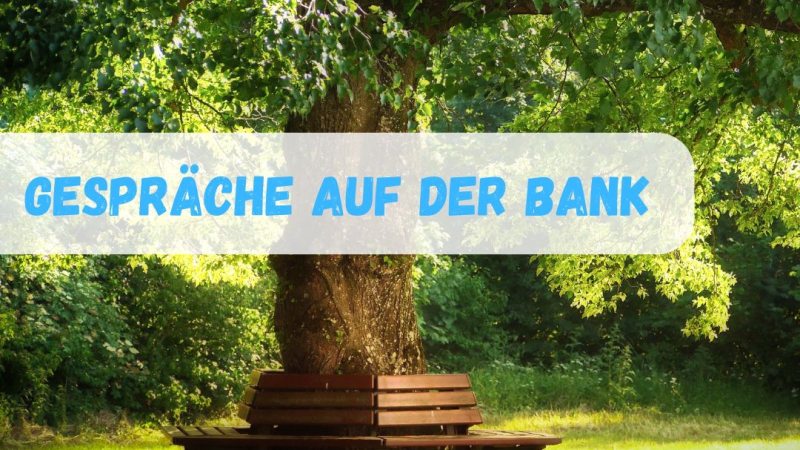 Sitzbank unter einem Baum