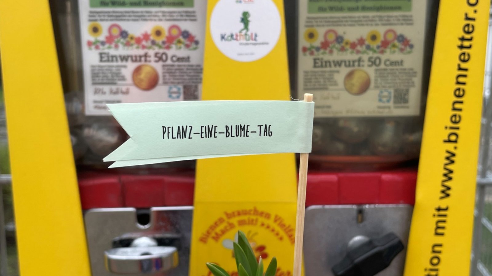 Bienenfutterautomat