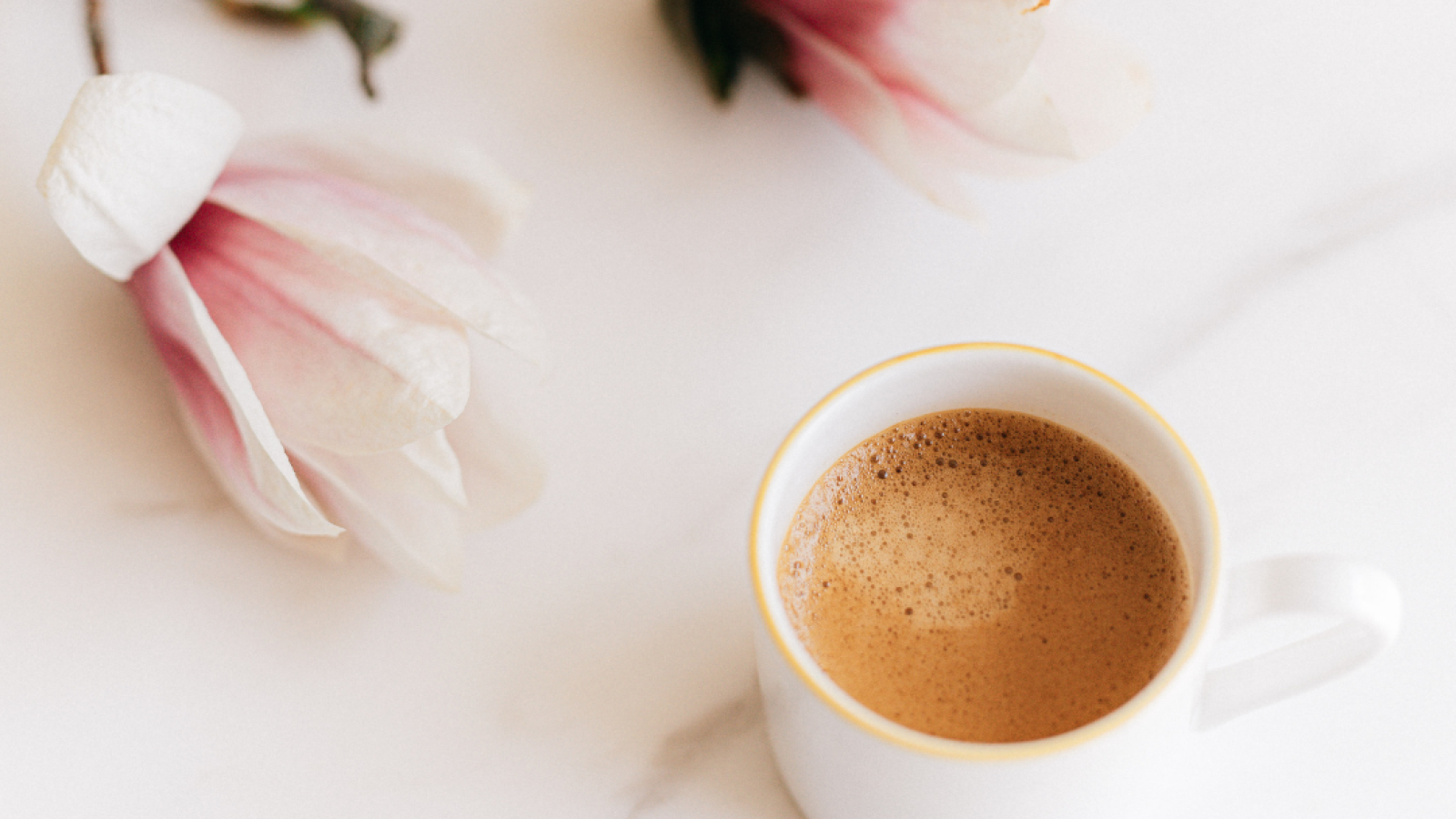 Blumen und Kaffeetasse