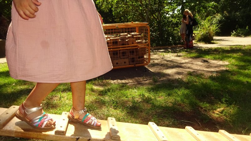 Motiv zum Thema: Großes Sommerfest im Familienzentrum Taka-Tuka Land
