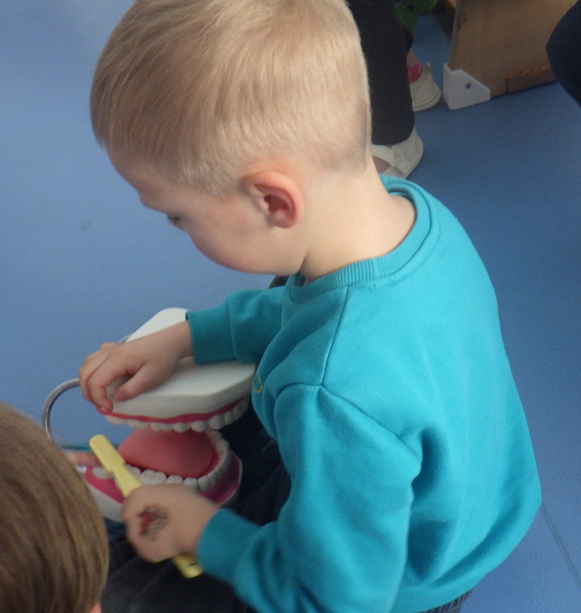 Junge putzt Zahnmodell